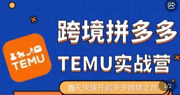 大鹏出海·拼多多跨境temu运营指导，开店注册+选品+核价上架，日出千单实战课-八号资源库