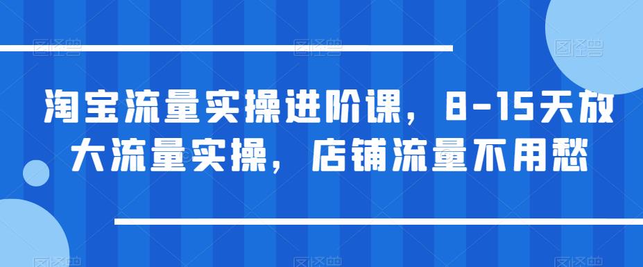 淘宝流量实操进阶课，8-15天放大流量实操，店铺流量不用愁-八号资源库