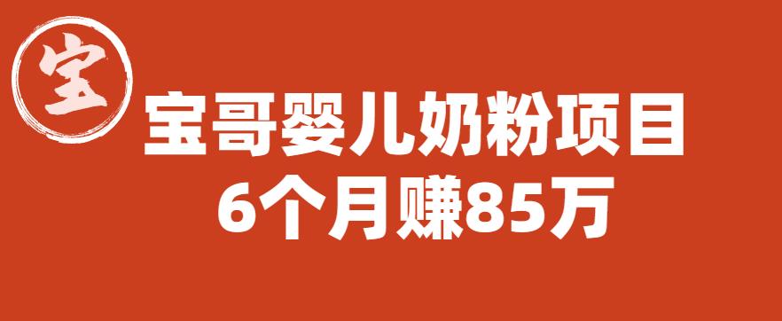 宝哥婴儿奶粉项目，6个月赚85w【图文非视频】【揭秘】-八号资源库