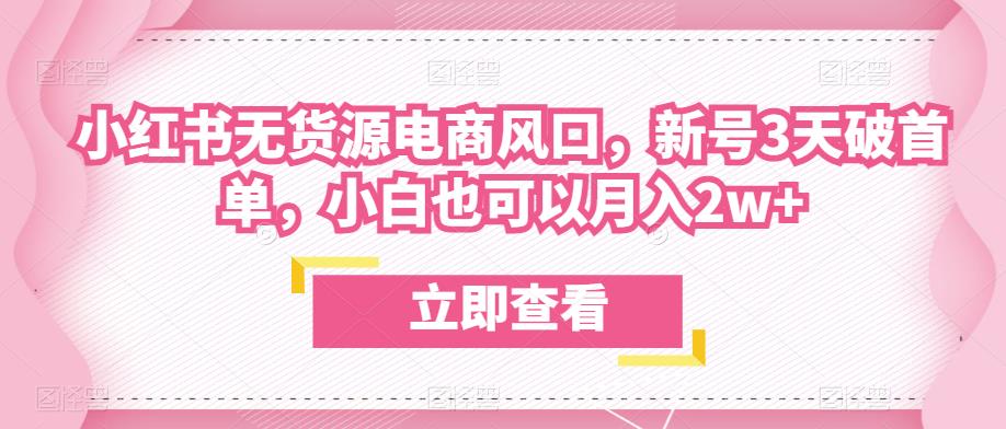 众狼电商余文小红书无货源电商风口，新号3天破首单，小白也可以月入2w+-八号资源库
