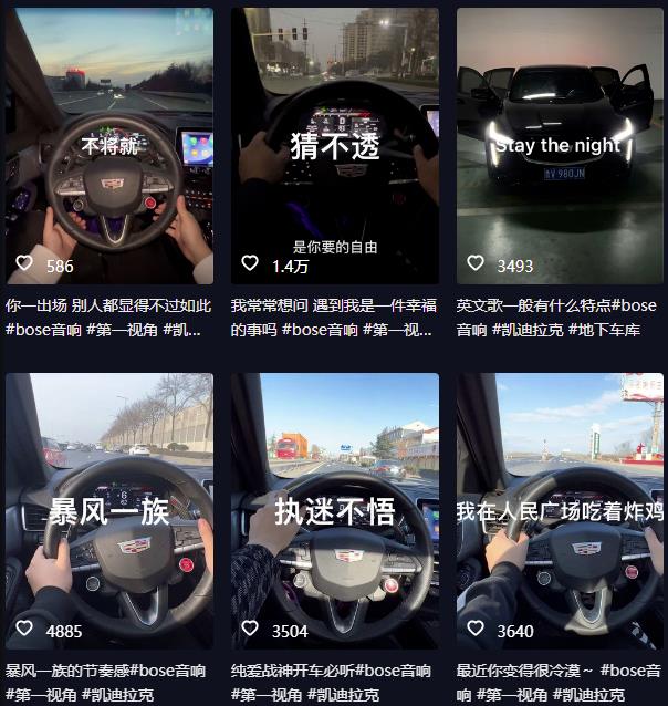 抖音开车视频项目，0基础操作，每天五分钟，月入1W+【揭秘】-八号资源库