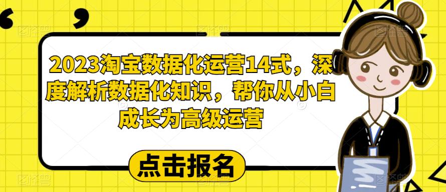 2023淘宝数据化运营14式，深度解析数据化知识，帮你从小白成长为高级运营-八号资源库