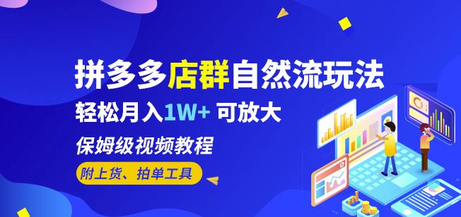 拼多多店群自然流玩法，轻松月入1W+保姆级视频教程（附上货、拍单工具）-八号资源库