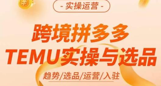 伍跃·跨境拼多多TEMU实操与选品，​趋势/选品/运营/入住（27节完整）-八号资源库