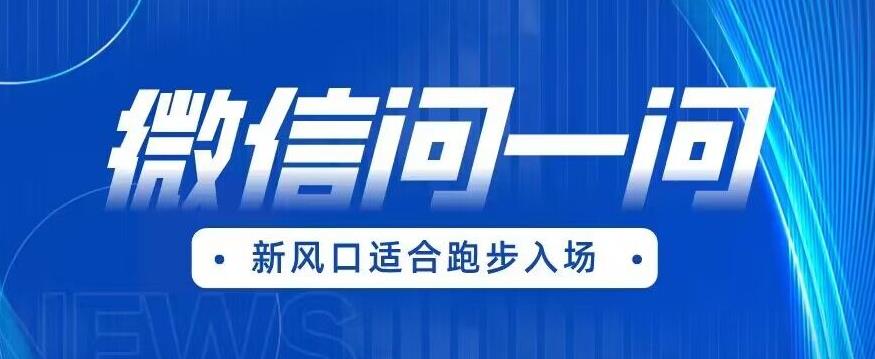 全网首发微信问一问新风口变现项目（价值1999元）【揭秘】-八号资源库