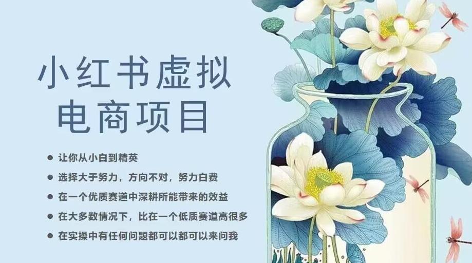 小红书虚拟电商从0到1，让你从小白到精英（20节实操课程）-八号资源库