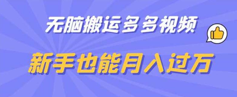 无脑搬运多多视频，新手也能月入过万【揭秘】-八号资源库