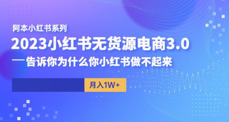 阿本小红书无货源电商3.0，告诉你为什么你小红书做不起来-八号资源库