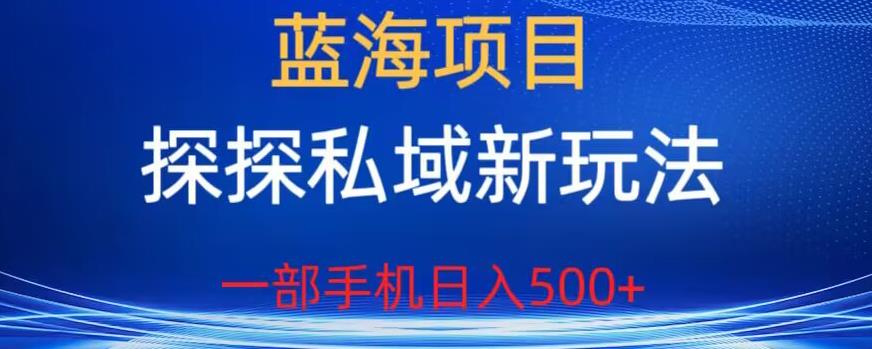 蓝海项目，探探私域新玩法，一部手机日入500+很轻松【揭秘】-八号资源库