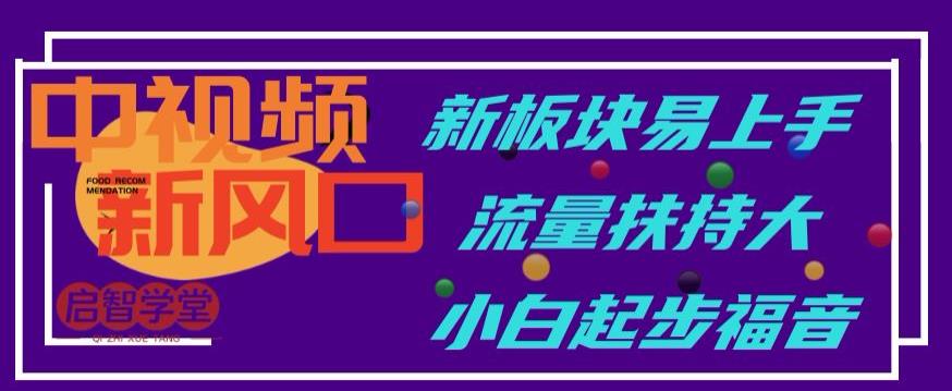 中视频新风口，新板块易上手，流量扶持大，小白起步福音【揭秘】-八号资源库