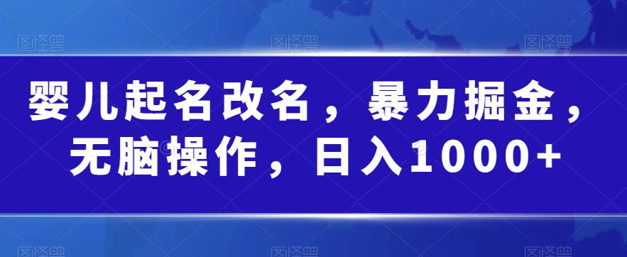 婴儿起名改名，暴力掘金，无脑操作，日入1000+【揭秘】-八号资源库