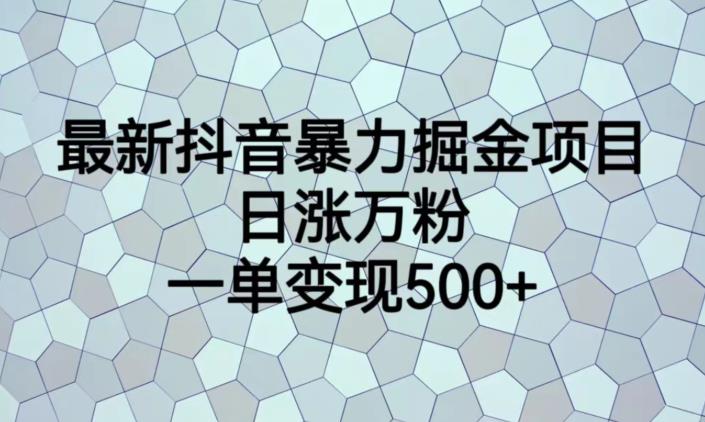 最新抖音暴力掘金项目，日涨万粉，一单变现500+【揭秘】-八号资源库