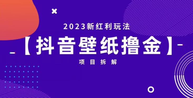 抖音壁纸小程序创作者撸金项目，2023新红利玩法【项目拆解】-八号资源库