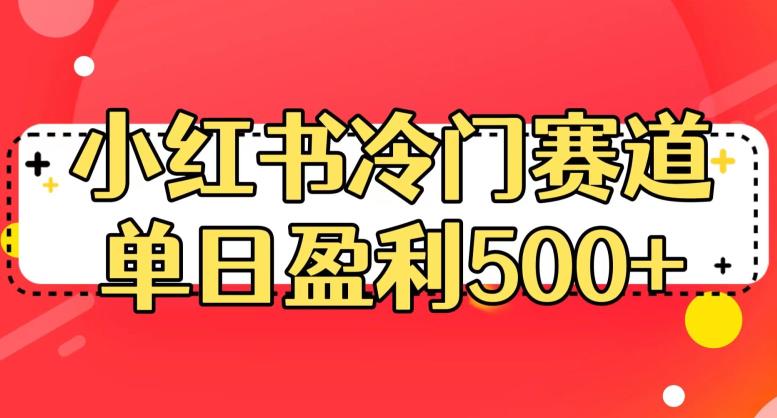 小红书冷门赛道，单日盈利500+【揭秘】-八号资源库