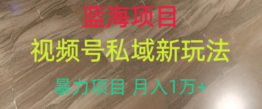 蓝海项目，视频号私域新玩法，暴力项目月入1万+【揭秘】-八号资源库