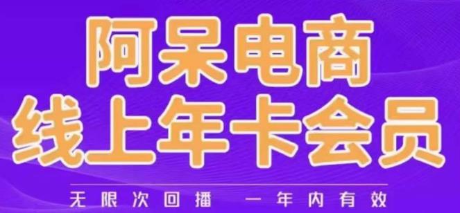 阿呆电商线上年会员，阿呆电商干货分享（更新中）-八号资源库