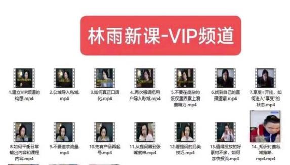 林雨新课VIP频道，玩赚私域/朋友圈/社群-八号资源库