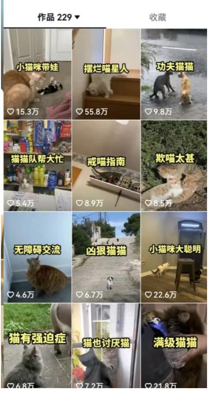 拆解：抖音盘点类中视频变现副业项目，视频版一条龙大解析分享给你-八号资源库