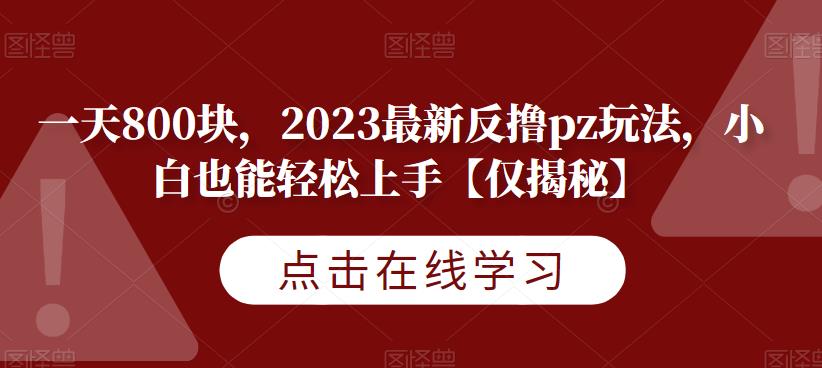 一天800块，2023最新反撸pz玩法，小白也能轻松上手【仅揭秘】-八号资源库