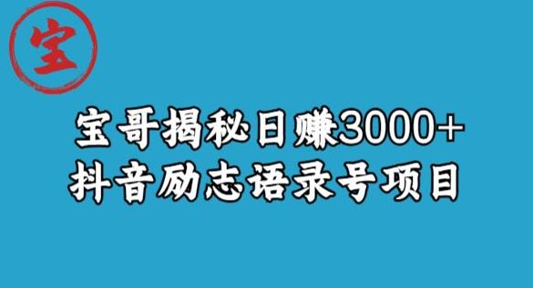 宝哥揭秘日赚3000+抖音励志语录号短视频变现项目-八号资源库