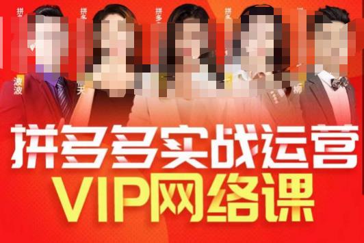 推易拼多多VIP全套直播课程，拼多多店铺实操玩法+实战玩法选款内功+直通车高阶等-八号资源库