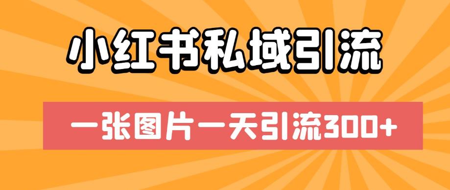 小红书私域引流，一张图片一天引流300+【揭秘】-八号资源库