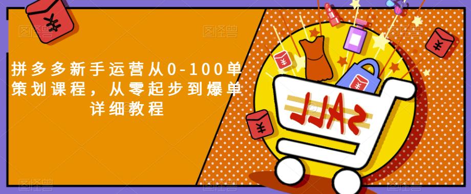 拼多多新手运营从0-100单策划课程，从零起步到爆单详细教程-八号资源库