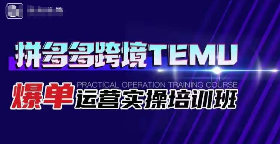 拼多多跨境TEMU爆单运营实操培训班，海外拼多多的选品、运营、爆单-八号资源库