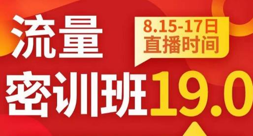 秋秋线上流量密训班19.0，打通流量关卡，线上也能实战流量破局-八号资源库
