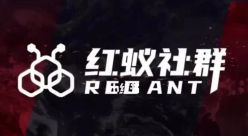 社群运营：红蚁社群【48节落地系统课程+2000人高端社群】-八号资源库