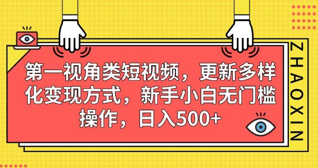 第一视角类短视频，更新多样化变现方式，新手小白无门槛操作，日入500+【揭秘】-八号资源库