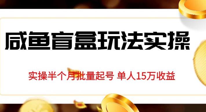 独家首发咸鱼盲盒玩法实操，半个月批量起号单人15万收益【揭秘】-八号资源库