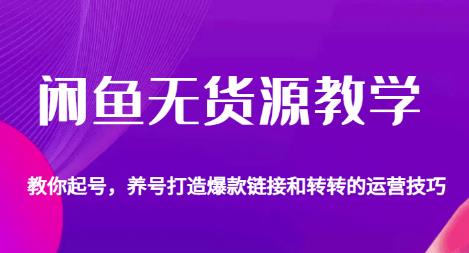闲鱼无货源教学，教你起号，养号打造爆款链接以及转转的运营技巧-八号资源库
