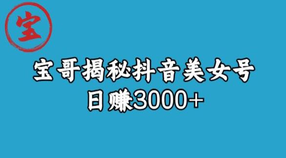 宝哥揭秘抖音美女号玩法，日赚3000+【揭秘】-八号资源库