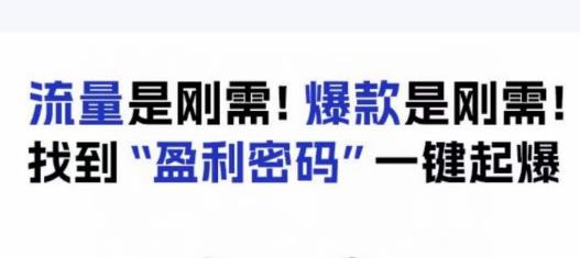 电商盈利精品课：6大盈利密码让产品更好卖，流量是刚需！爆款是刚需！找到”盈利密码”一键起爆-八号资源库