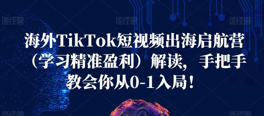 海外TikTok短视频出海启航营（学习精准盈利）解读，手把手教会你从0-1入局！-八号资源库
