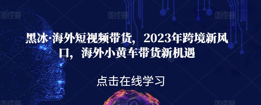 黑冰·海外短视频带货，2023年跨境新风口，海外小黄车带货新机遇-八号资源库