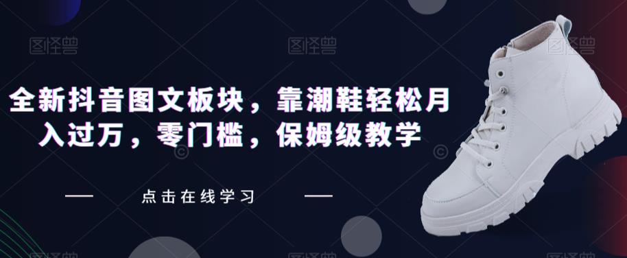 全新抖音图文板块，靠潮鞋轻松月入过万，零门槛，保姆级教学【揭秘】-八号资源库
