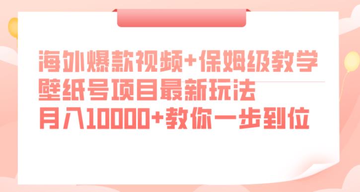 海外爆款视频+保姆级教学，壁纸号项目最新玩法，月入10000+教你一步到位【揭秘】-八号资源库