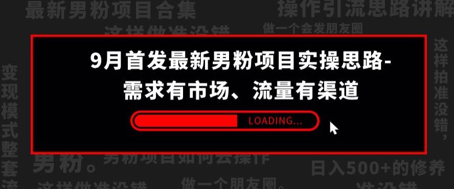 9月首发最新男粉项目实操思路-需求有市场，流量有渠道【揭秘】-八号资源库