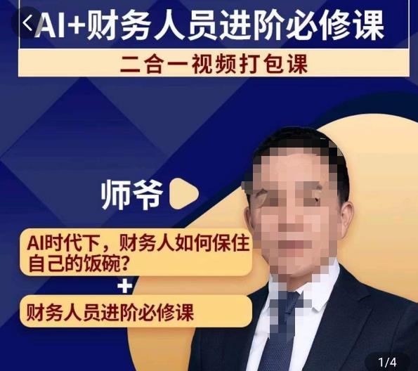 AI+财务人员进阶必修课二合一视频打包课，财务人员进阶必修课-八号资源库