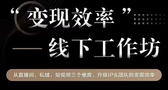 变现效率线下工作坊，从‮播直‬间、私域、‮视短‬频‮个三‬维度，升级IP和团队变现效率-八号资源库