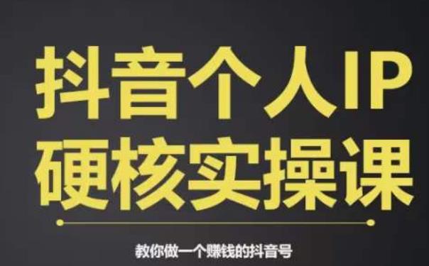 个人IP创富系统实战课，商业定位，流量打造，短视频变现，教你做个赚钱的抖音号-八号资源库