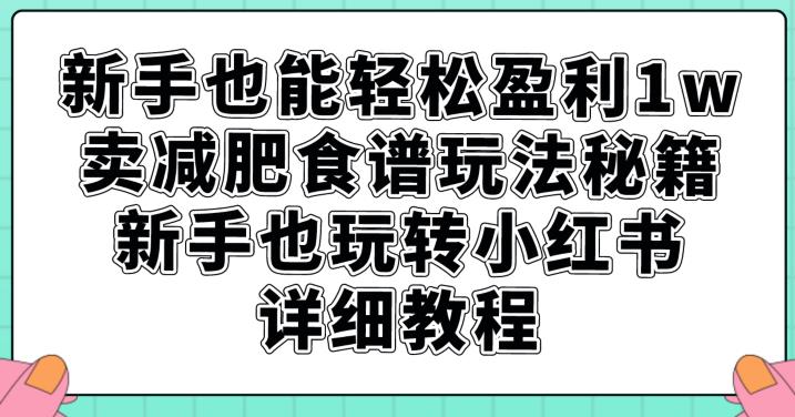 新手也能轻松盈利1w，卖减肥食谱玩法秘籍，新手也玩转小红书详细教程【揭秘】-八号资源库