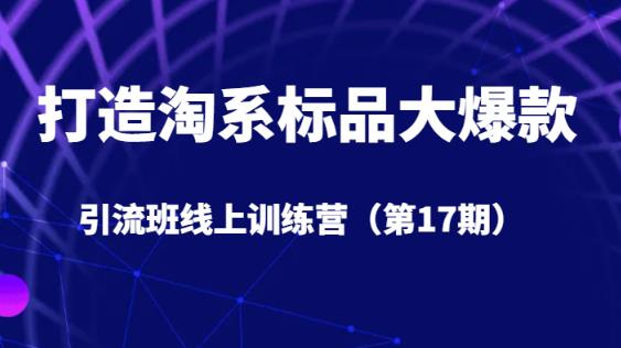 打造淘系标品大爆款引流班线上训练营（第17期）5天直播授课-八号资源库