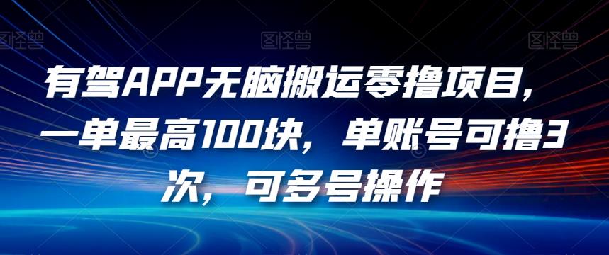 有驾APP无脑搬运零撸项目，一单最高100块，单账号可撸3次，可多号操作【揭秘】-八号资源库