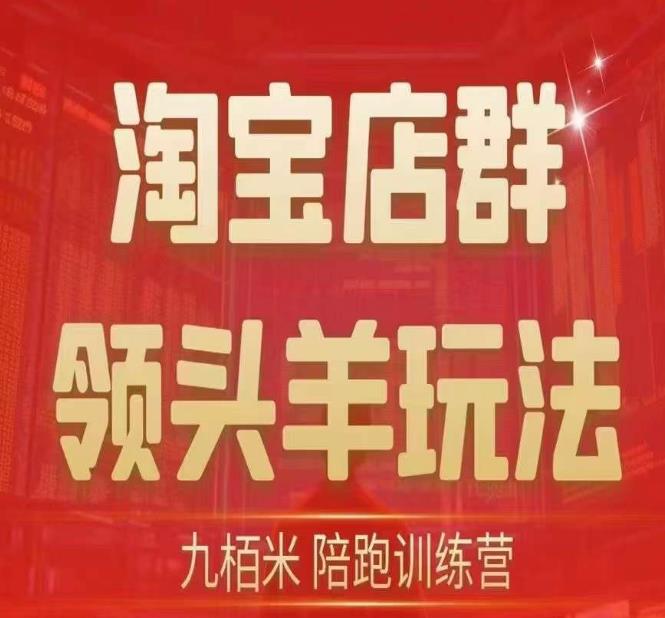 九栢米-淘宝店群领头羊玩法，教你整个淘宝店群领头羊玩法以及精细化/终极蓝海/尾销等内容-八号资源库