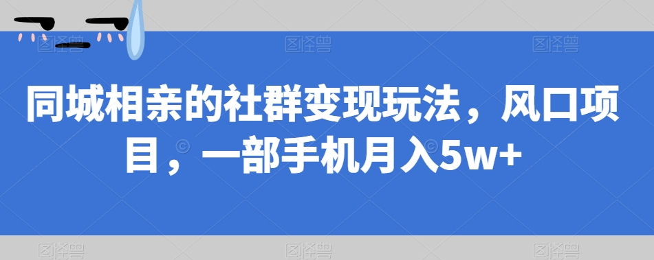 同城相亲的社群变现玩法，风口项目，一部手机月入5w+【揭秘】-八号资源库