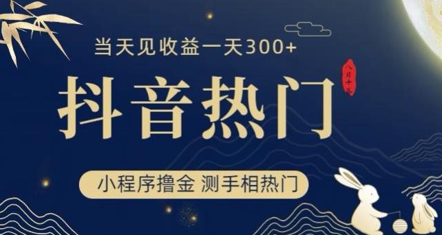 抖音最新小程序撸金，测手相上热门，当天见收益一小时变现300+【揭秘】-八号资源库