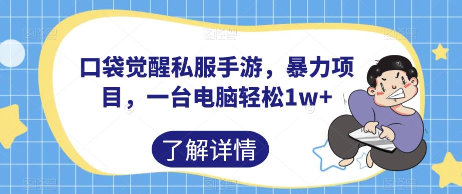 口袋觉醒私服手游，暴力项目，一台电脑轻松1w+【揭秘】-八号资源库